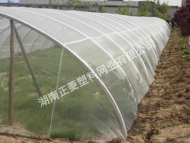 河北石家莊訂購草藥防蟲網(wǎng)案例