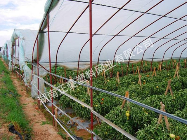 湖南岳陽華容縣蔬菜種植基地訂購防蟲網(wǎng)案例